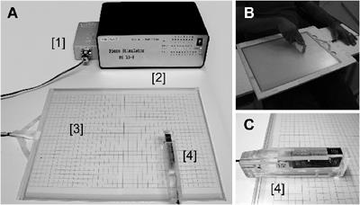 A Tactile Virtual Reality for the Study of Active Somatosensation